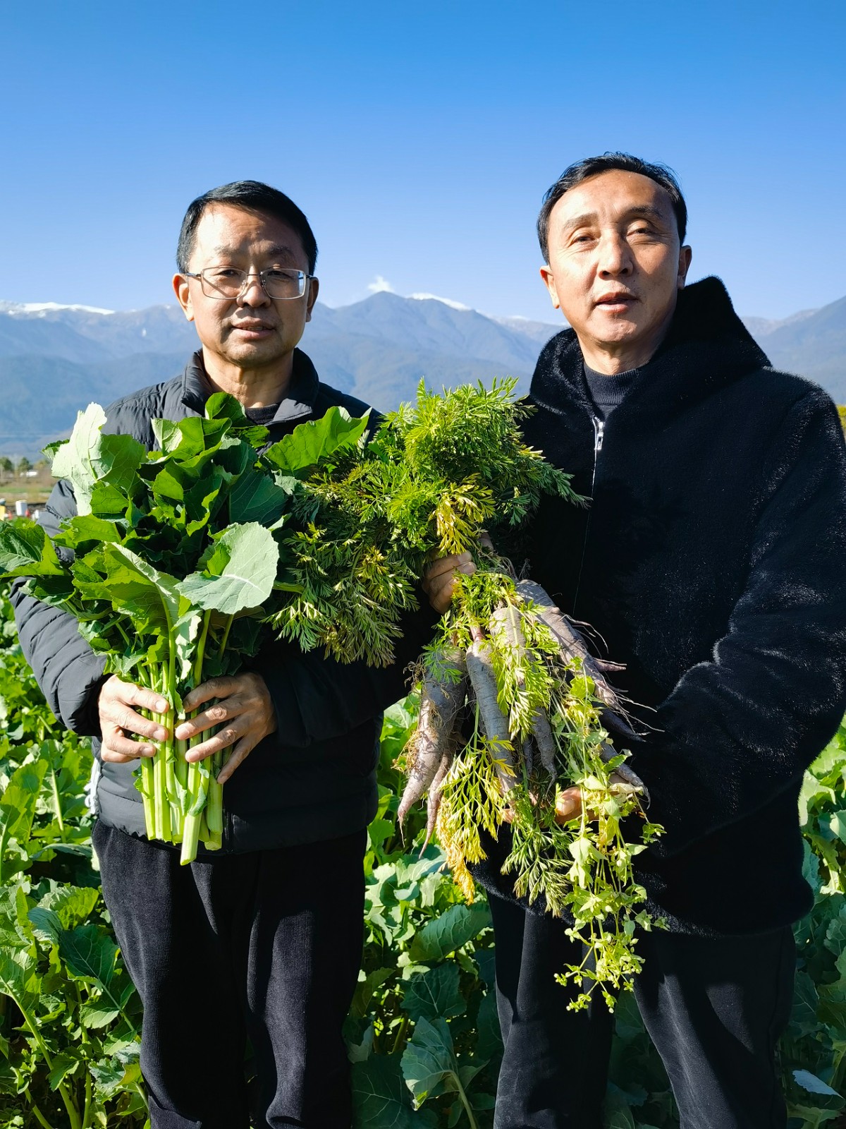 張福鎖：在田野裡(lǐ) 院士和農民一起(qǐ)上一堂二十大學(xué)習課