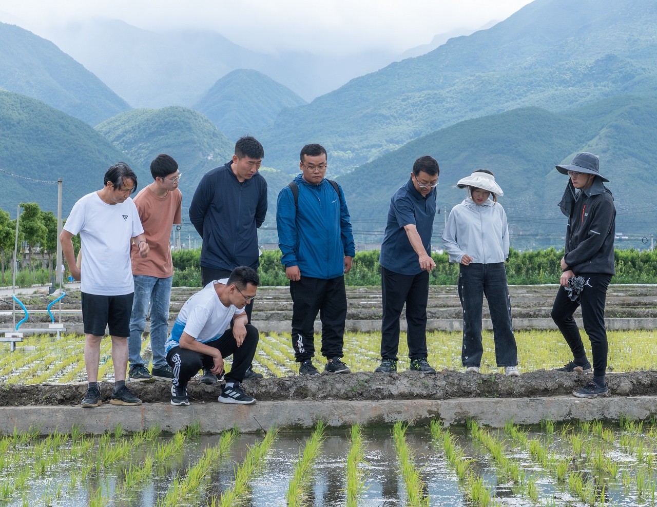 張福鎖：在田野裡(lǐ) 院士和農民一起(qǐ)上一堂二十大學(xué)習課